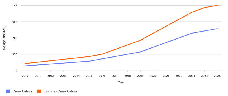 15 year historical dairy calf and beef on dairy calf prices