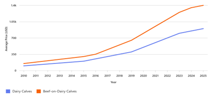 15-Year Historical Dairy Calf and Beef-on-Dairy Calf Prices