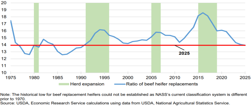 40-Year Historical Trend for U.S. Ratio of Beef Replacement Heifers