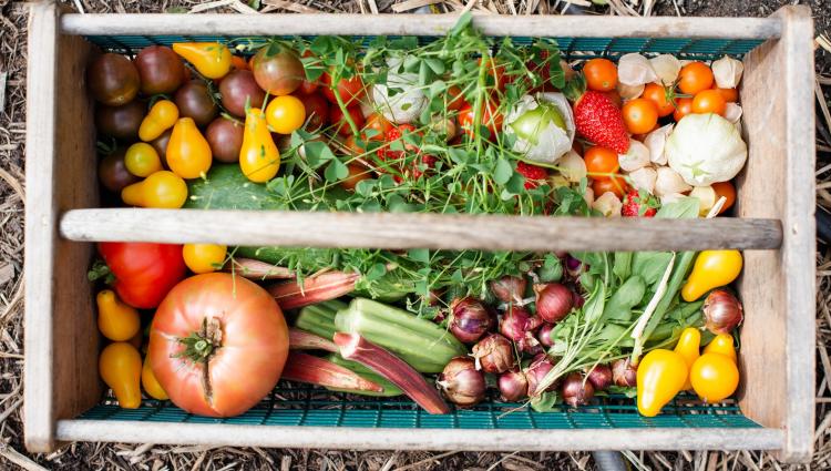 produce basket