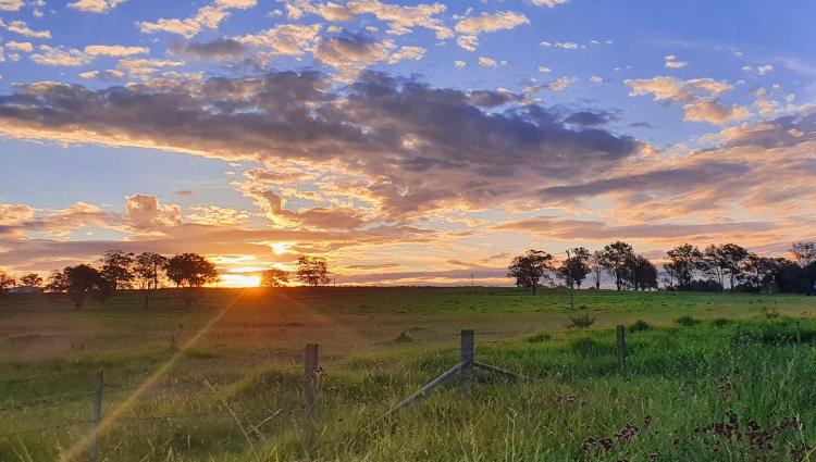 Farm Sunset