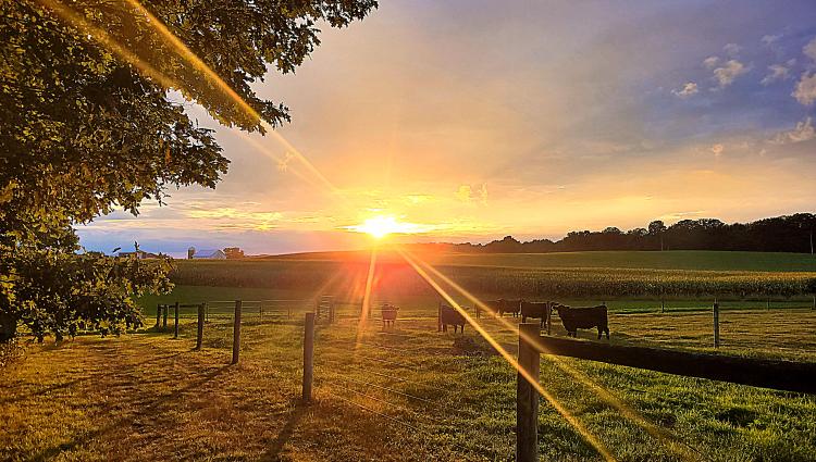 Sun over the horizon
