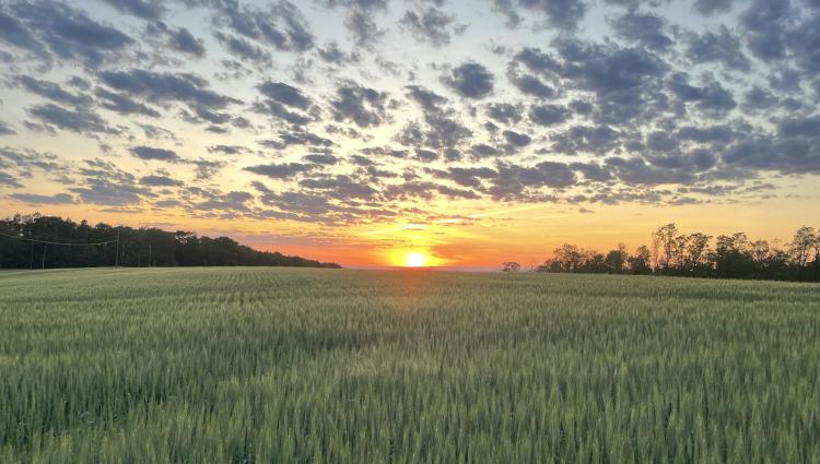 Photo contest winner