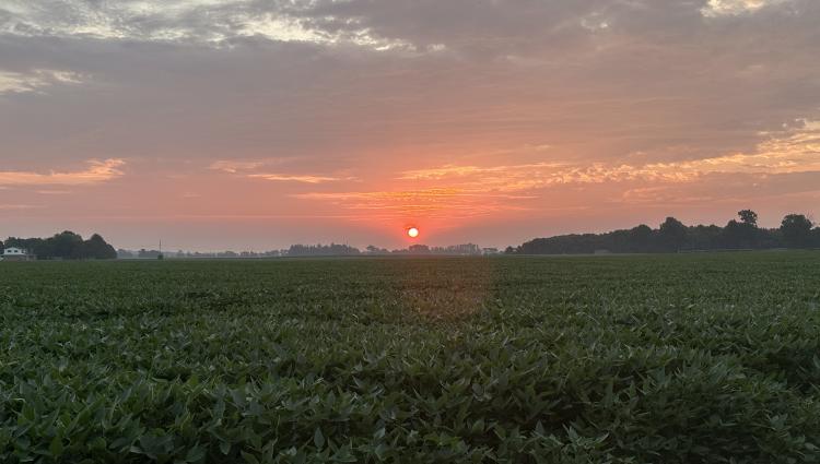 Open land at sunset