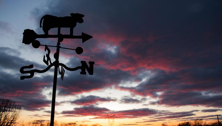 weathervane on sunrise