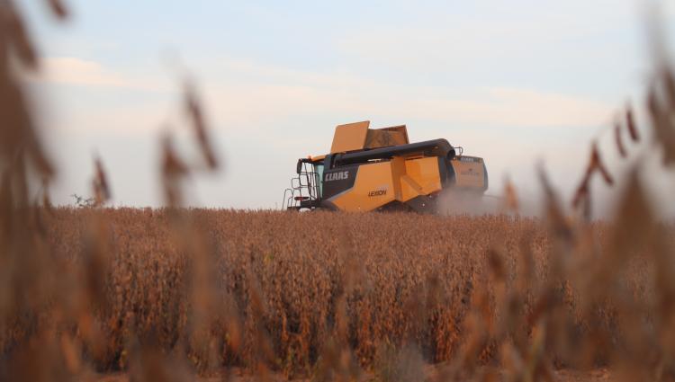 Combine and Soybeans