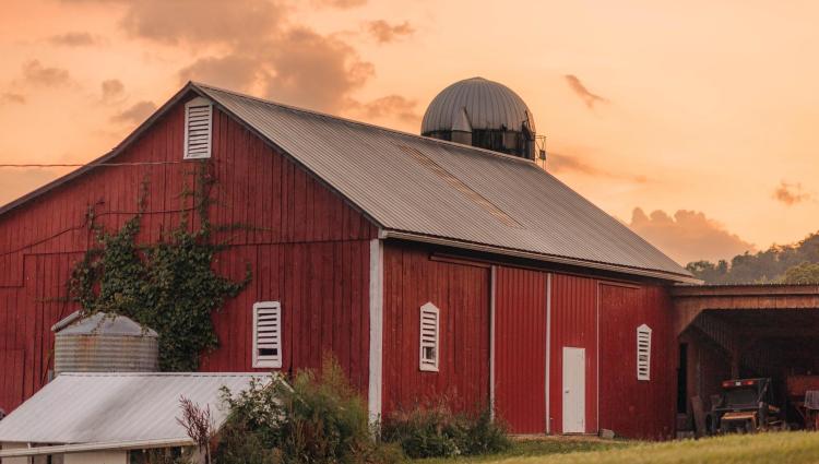 Barn in Field
