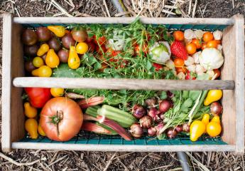 produce basket