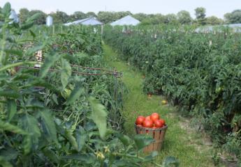 Have a Locally-Sourced Summer