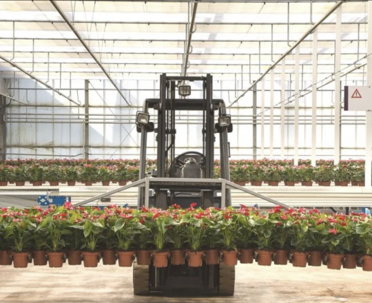 Flowers on a forklift