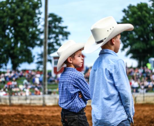 Watching the rodeo