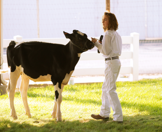 show cow with female teen 