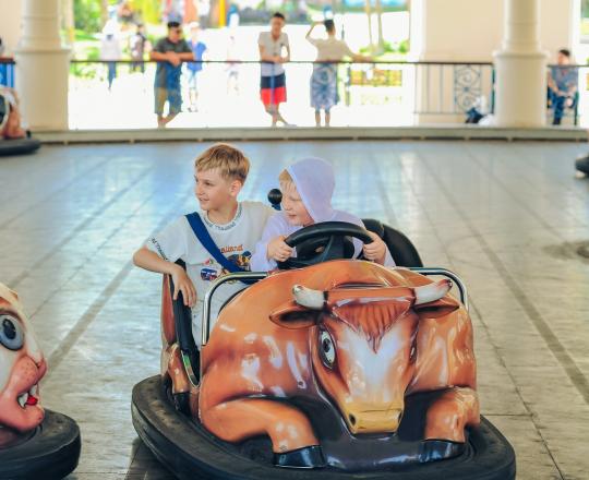 Farm animal bumper cars