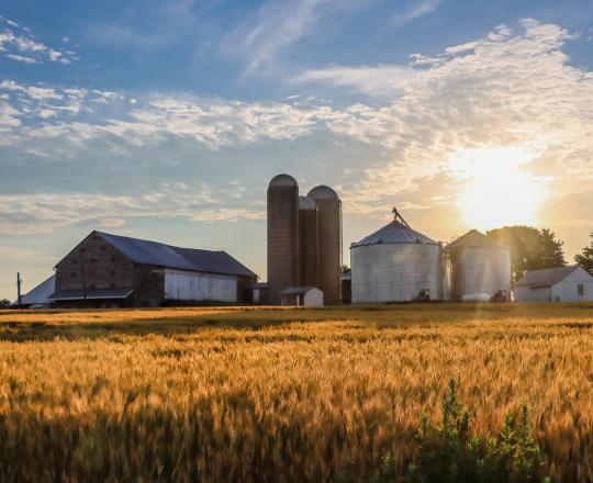 Farm Fleetwood PA Sue Younker