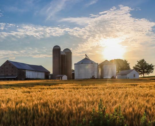 Farm Fleetwood PA Sue Younker