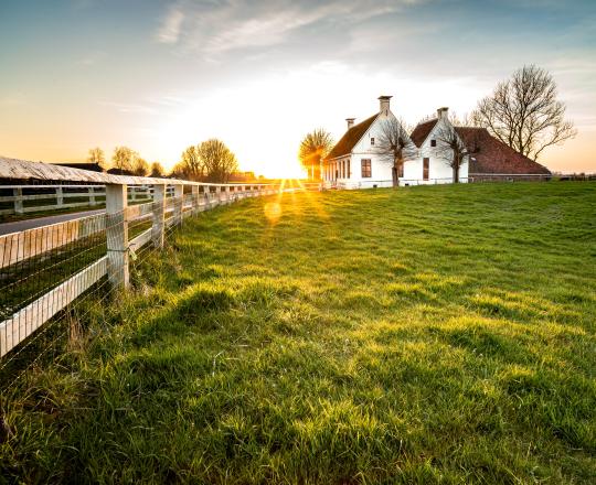 House on land with fence