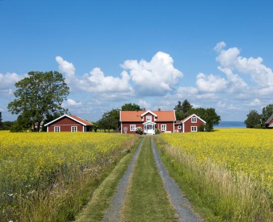 Long driveway in field
