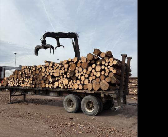 forest products and equipment