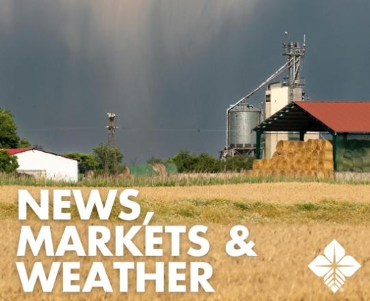 news markets and weather widget