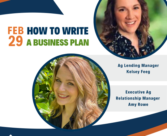 How to Write a Business Plan on February 29