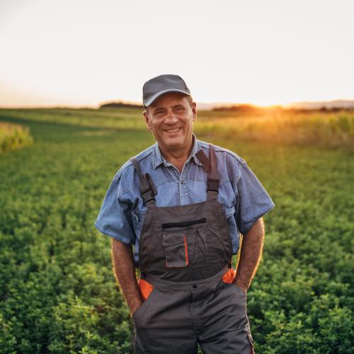 Farmer in a field
