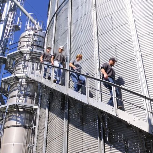 Weddle Family walking down grain bin steps